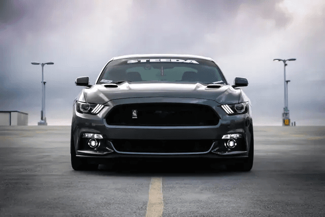 Motor Insurance